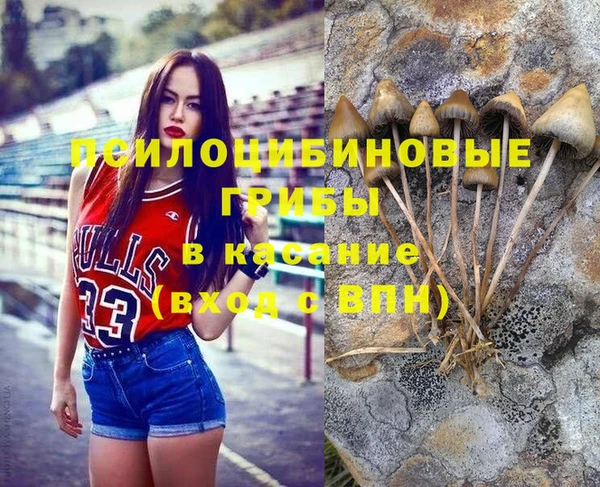 apvp Балабаново