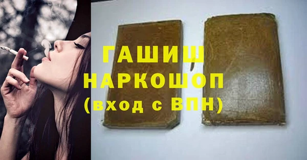 индика Балахна